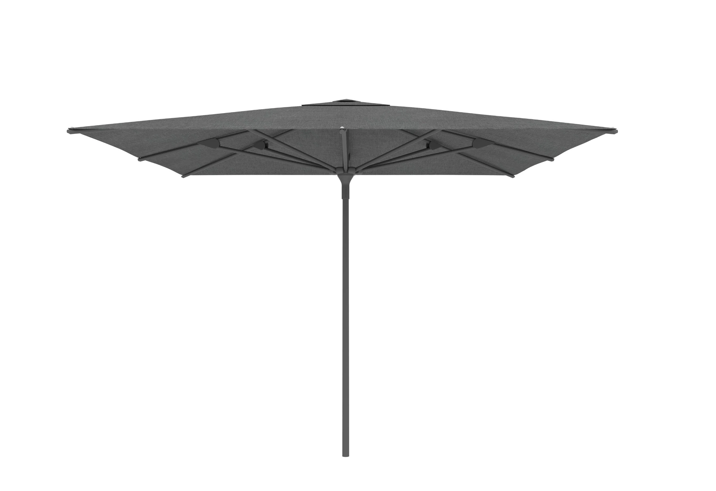 Miniatuur 51