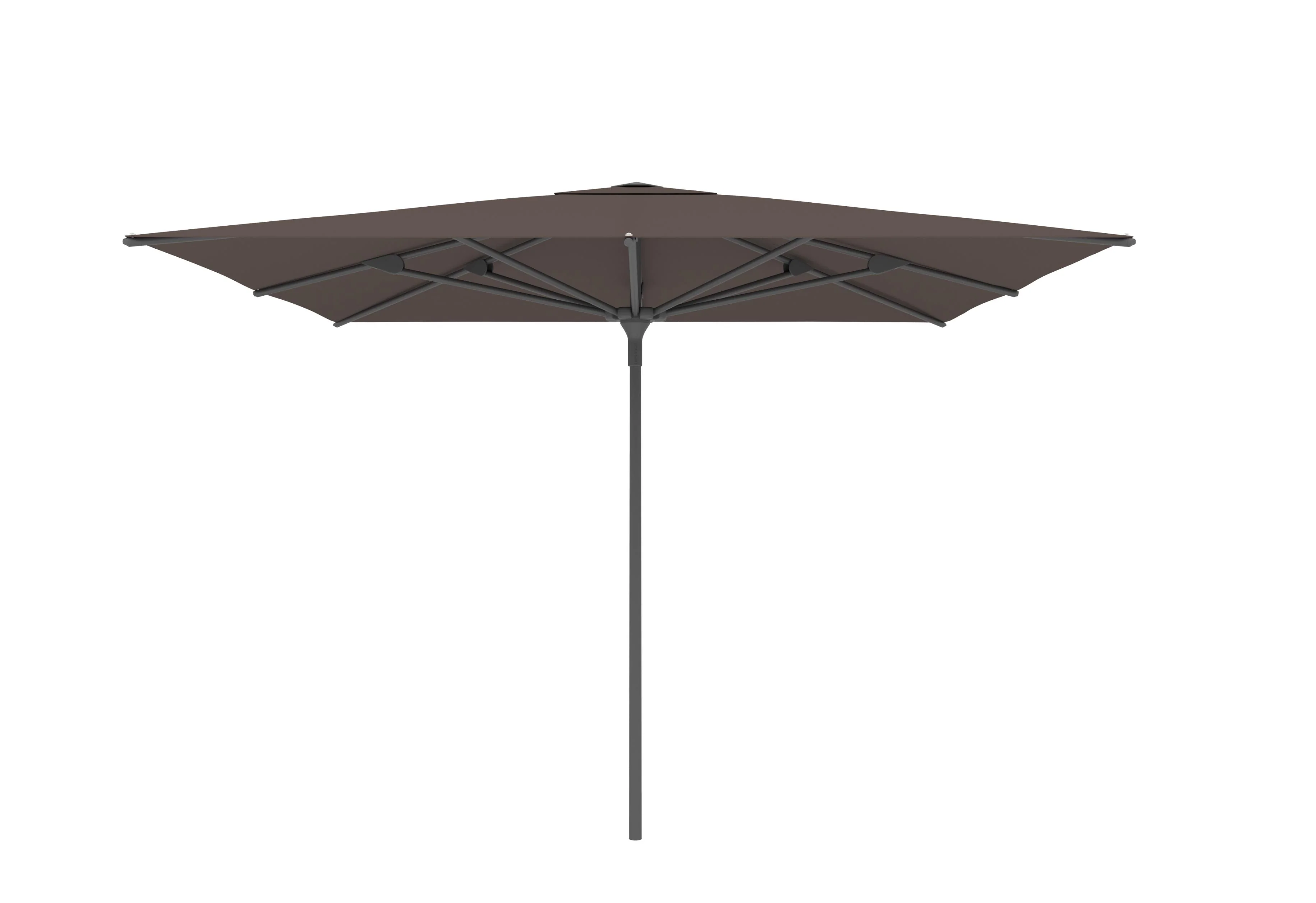 Miniatuur 54